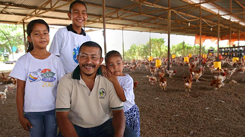 Family chicken farm.: Photograph by IFAD.